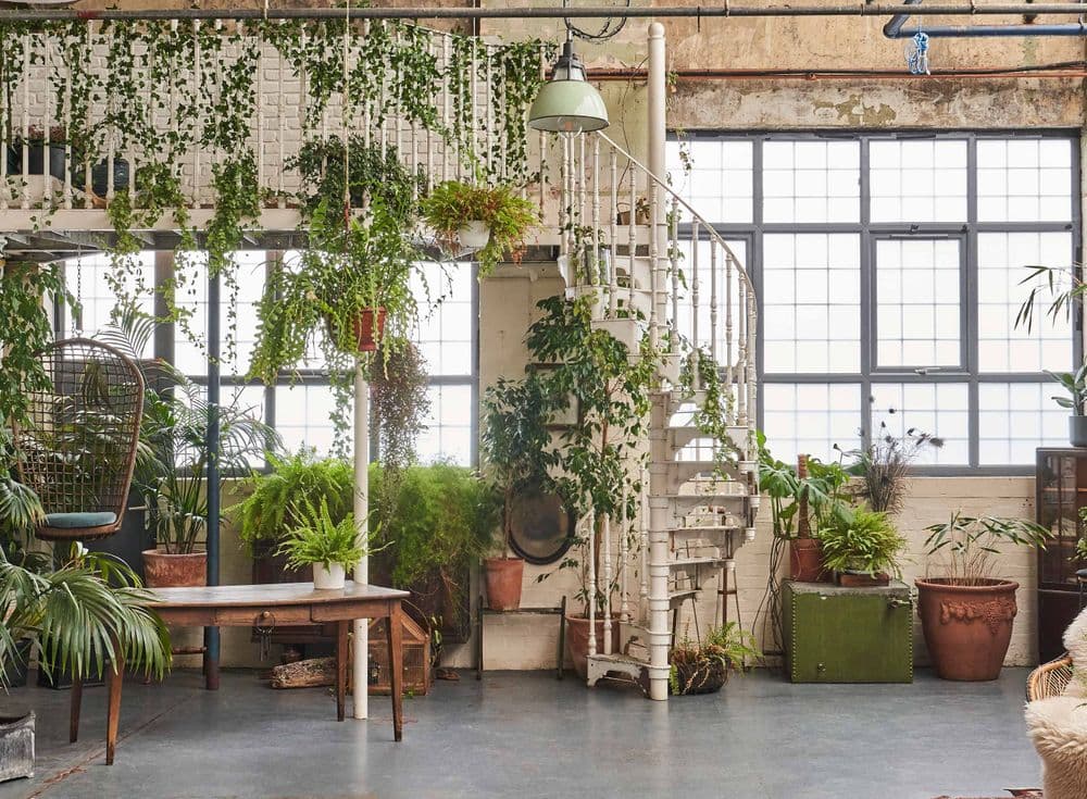 A victorian industrial warehouse space filled with green plant-life, hanging from mezzanines and sitting in pots on the floor.